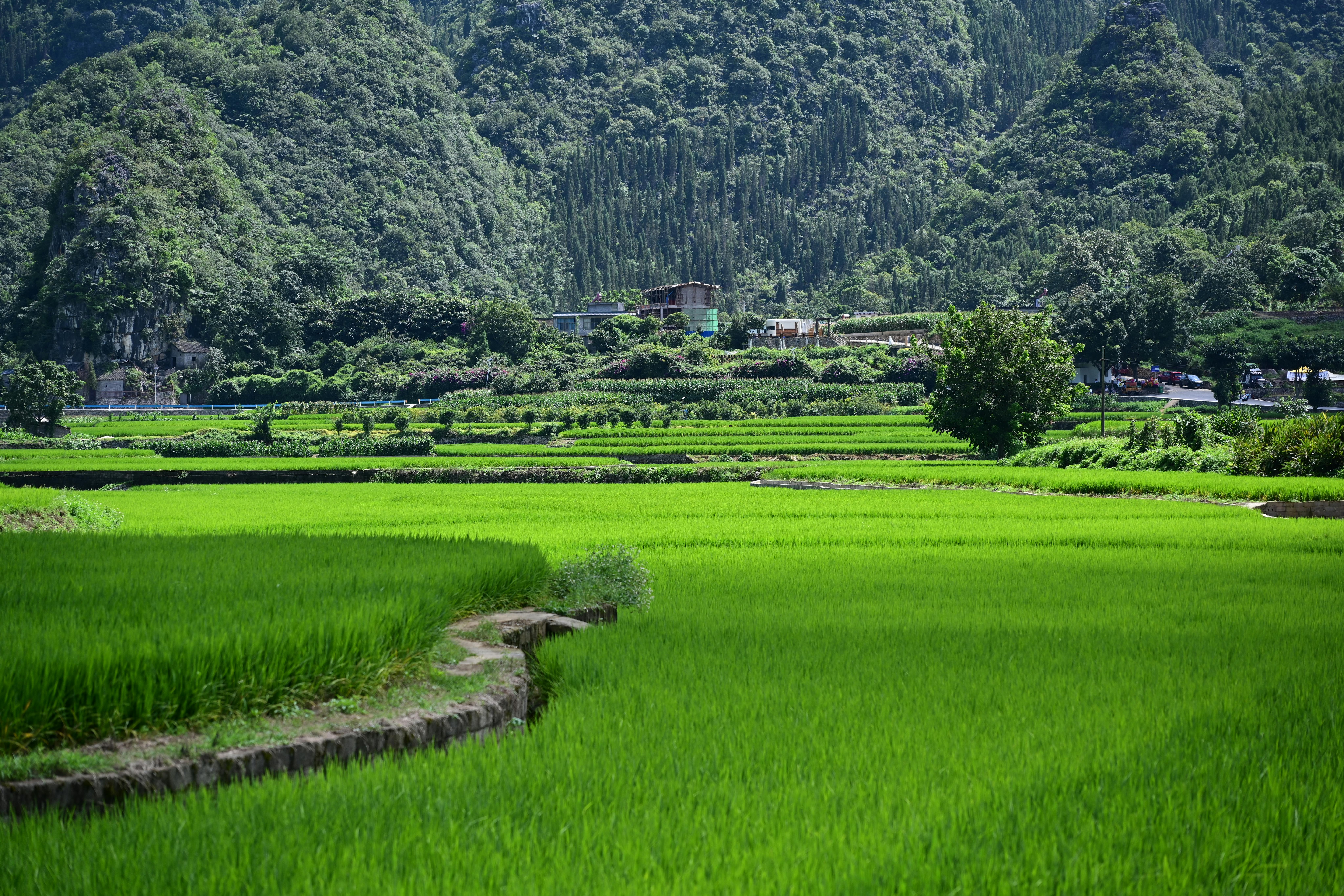 Suhail and the Caribbean Holidays team